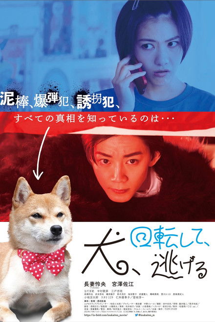 Dog Turns and Runs Away