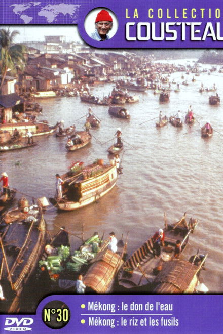 The Cousteau Collection N°37-1 | Warm Blood in the Sea