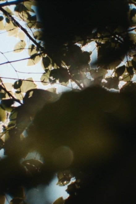sunspots, burnt into my heart