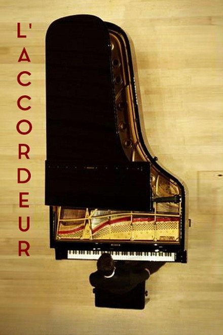The Piano Tuner