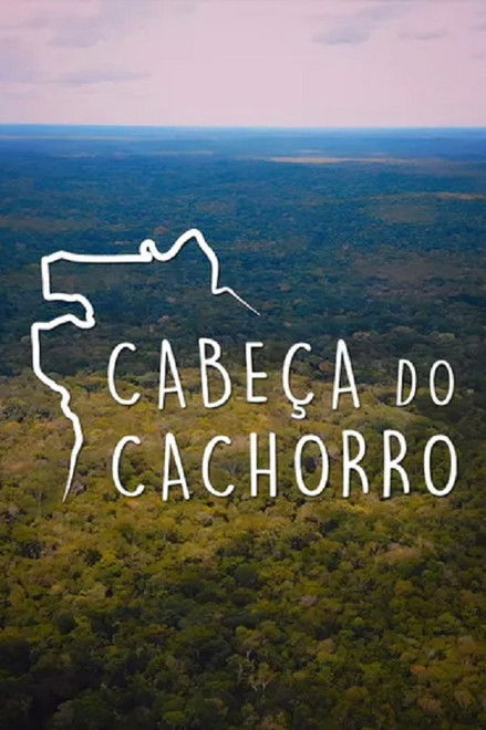Cabeça de cachorro