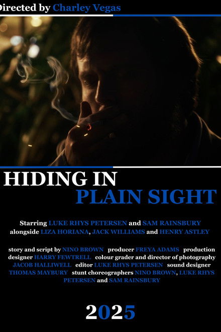 Hiding in Plain Sight