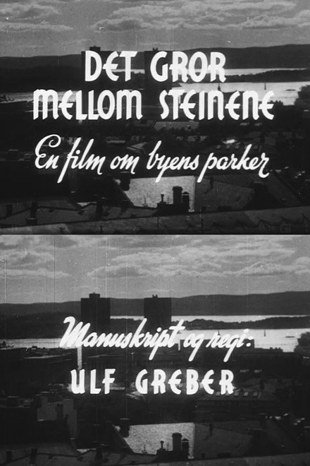 Oslofilm: Det gror mellom steinene