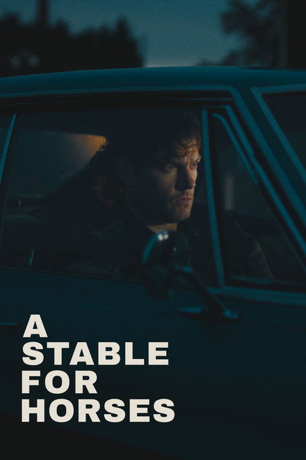 A Stable for Horses