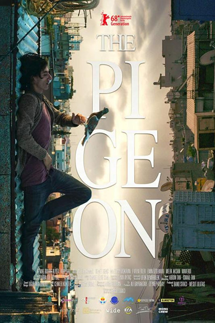 The Pigeon