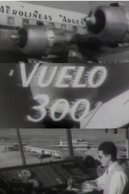 Vuelo 300