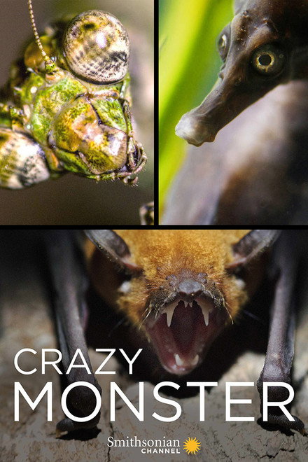 Crazy Monster
