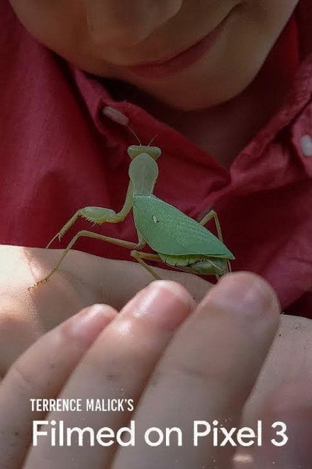 Filmed on Pixel 3