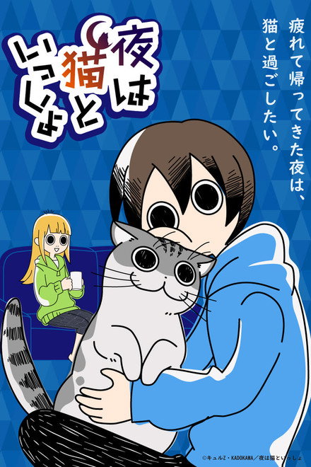 Nights with a Cat