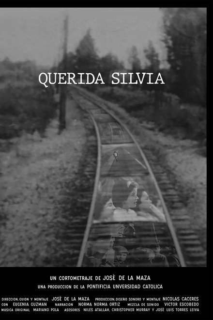 Dear Silvia