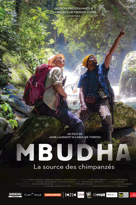 Mbudha, in the Chimpanzees' Footsteps