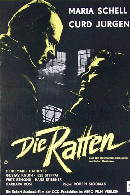 The Rats