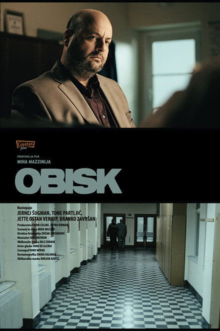 The Visit