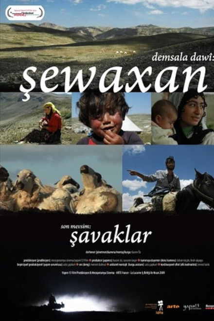 The Last Season: Shawaks