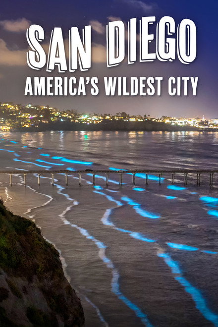 San Diego: America's Wildest City