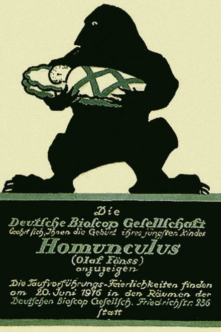 The Love Tragedy of the Homunculus