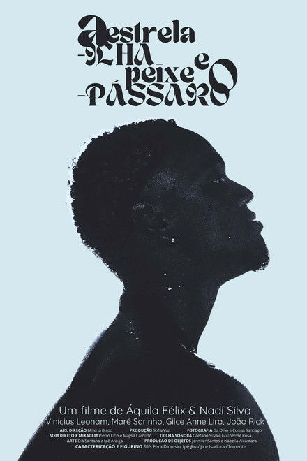 A Estrela-ilha e o Peixe-pássaro