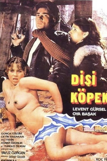 Dişi Köpek