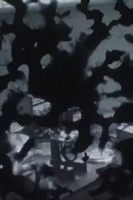 The Handeye (Bone Ghosts)