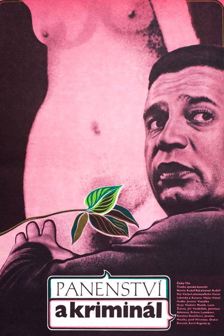 Panenství a kriminál