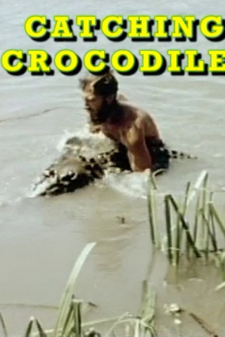 Catching Crocodiles