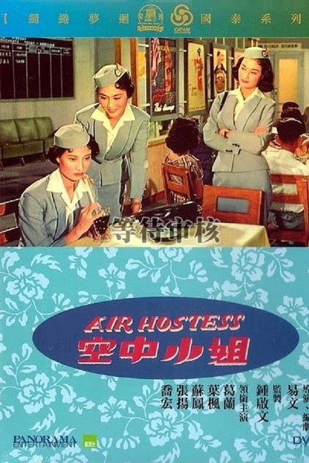 Air Hostess