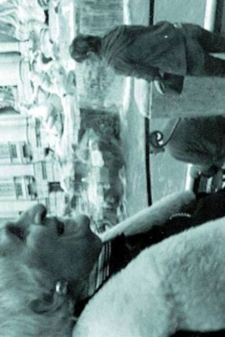 THE INTERPRETER OF BLACK AND WHITE FILMS