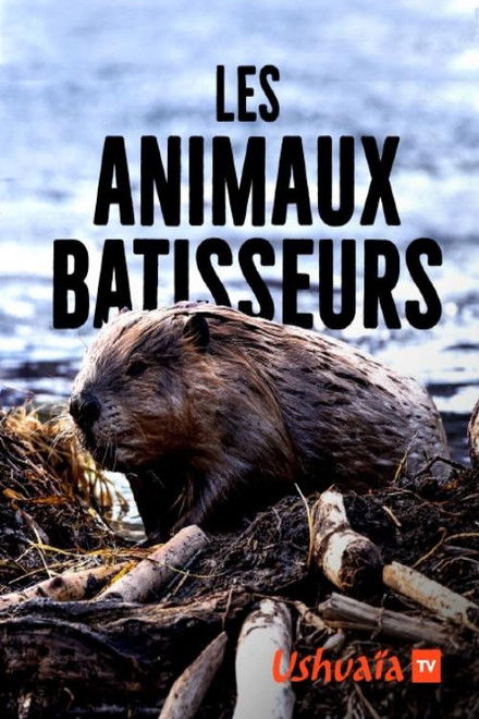 Les Animaux bâtisseurs