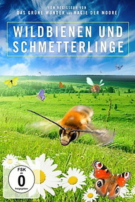 Kinder der Sonne - Unsere Schmetterlinge
