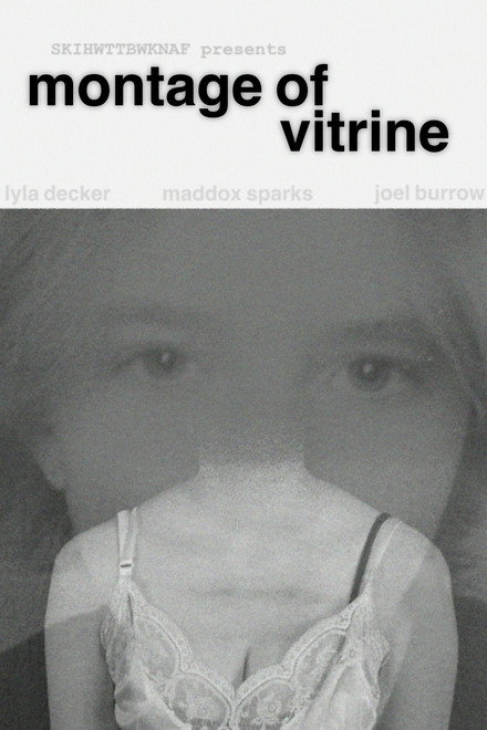 Montage of Vitrine