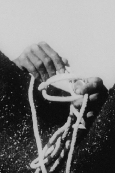 Through the Eyes of a Painter