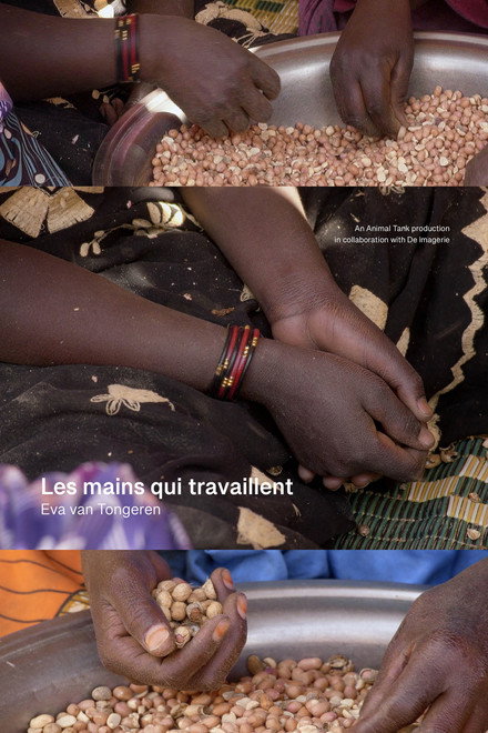 Les mains qui travaillent