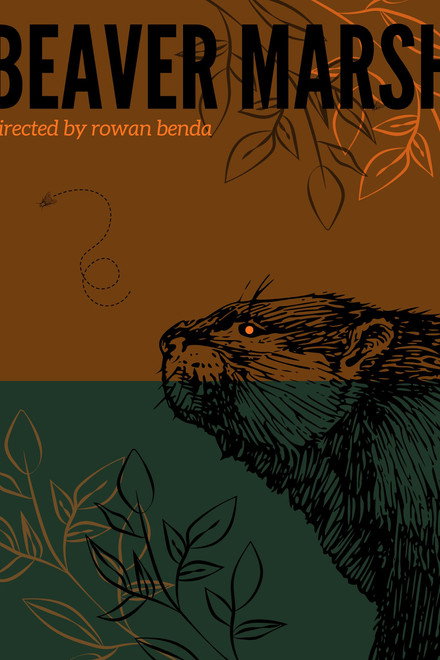 Beaver Marsh