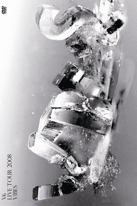 V6 LIVE TOUR 2008 VIBES