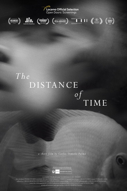 The Distance of Time