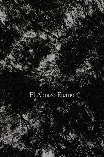 El Abrazo Eterno