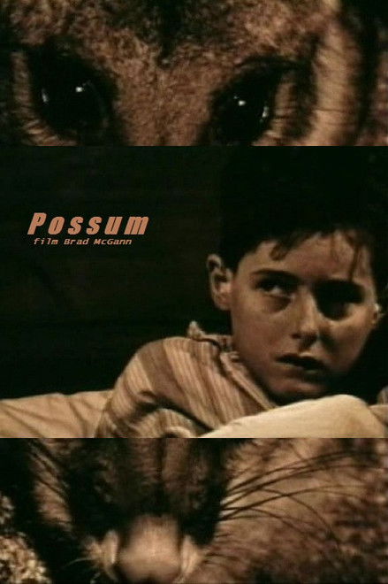 Possum