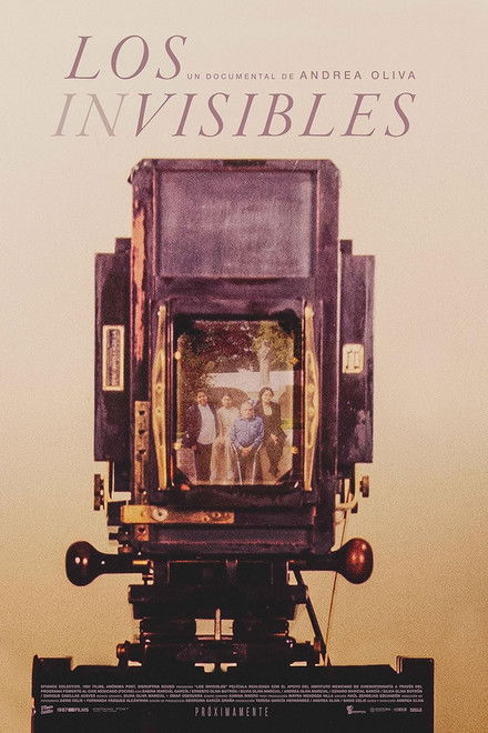 The Invisibles
