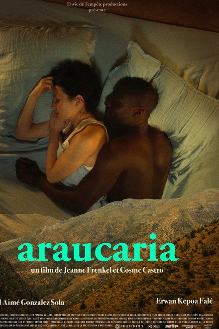 Araucaria