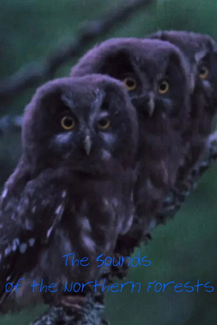 The Sounds of the Northern Forests