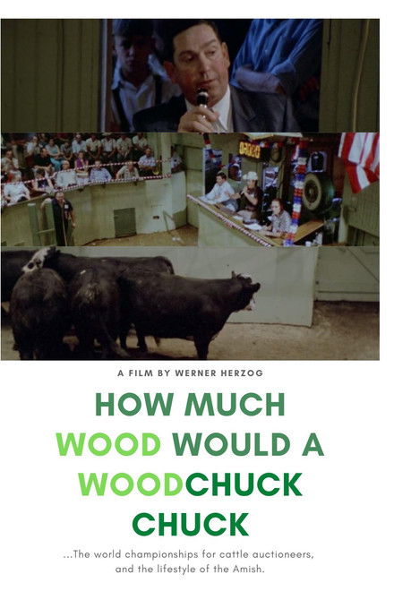 How Much Wood Would a Woodchuck Chuck