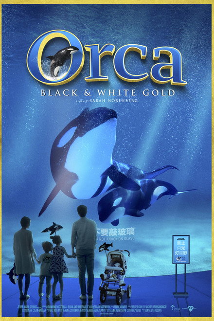 Orca: Black & White Gold