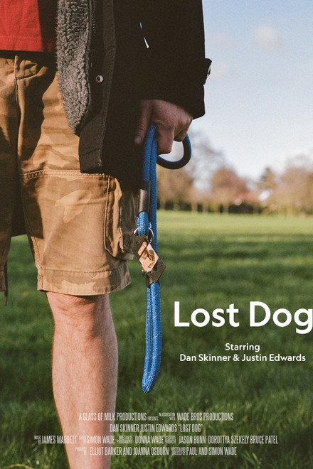 Lost Dog