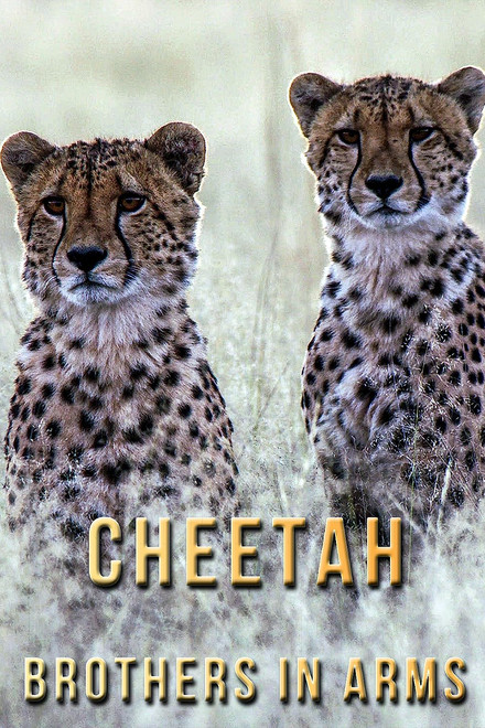 Cheetah Brothers in Arms
