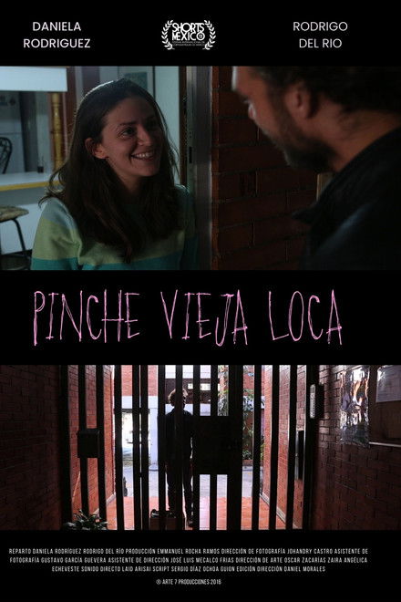 Pinche Vieja Loca