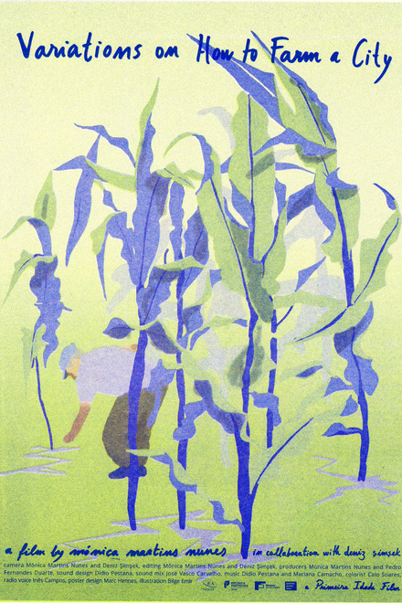 Variations on How to Farm a City