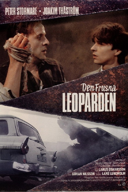 The Frozen Leopard