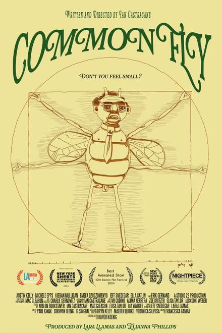 Common Fly