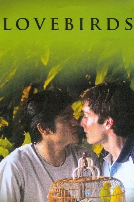 Lovebirds
