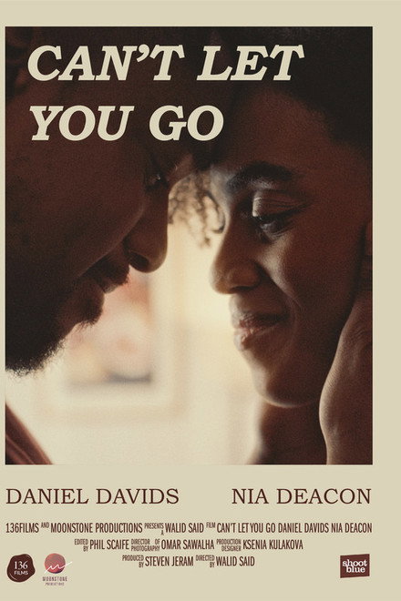 Can't Let You Go